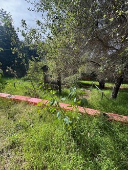 wildernesspark4